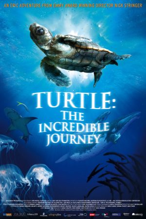 Xem Phim Hành Trình Vĩ Đại Của Loài Rùa Vietsub Ssphim - Turtle The Incredible Journey 2011 Thuyết Minh trọn bộ Vietsub