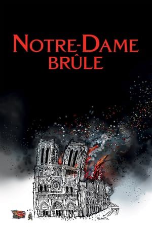 Xem Phim Vụ Cháy Ở Pari Vietsub Ssphim - Notre Dame Brûle 2022 Thuyết Minh trọn bộ Vietsub