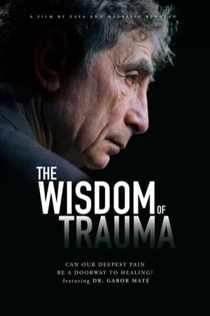 Xem Phim Sự Khôn Ngoan Từ Tổn Thương Vietsub Ssphim - The Wisdom of Trauma 2021 Thuyết Minh trọn bộ Vietsub