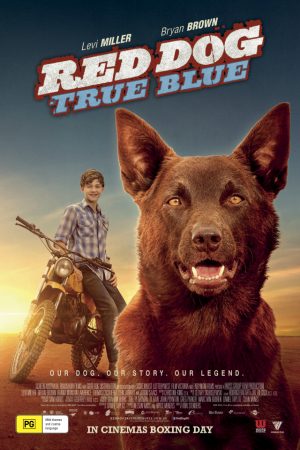 Xem Phim Chú Chó Trung Thành 2 Vietsub Ssphim - Red Dog True Blue 2016 Thuyết Minh trọn bộ Vietsub