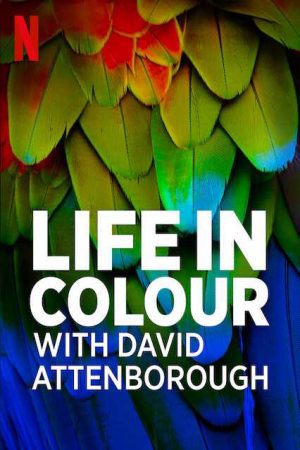 David Attenborough Sự sống đầy màu sắc