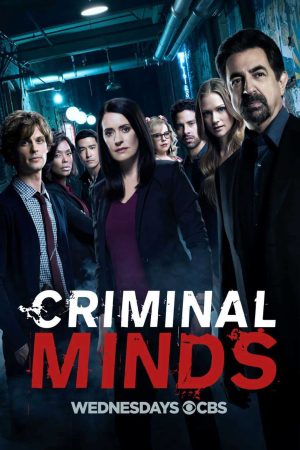 Xem Phim Hành Vi Phạm Tội ( 13) Vietsub Ssphim - Criminal Minds (Season 13) 2016 Thuyết Minh trọn bộ Vietsub