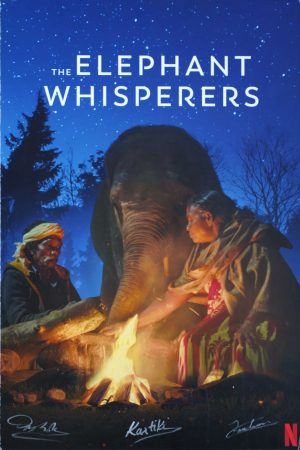 Xem Phim Người chăm voi Vietsub Ssphim - The Elephant Whisperers 2021 Thuyết Minh trọn bộ Vietsub