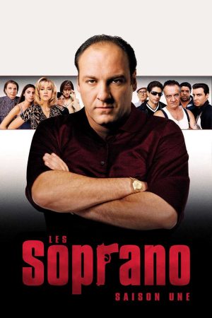 Gia Đình Sopranos ( 1)