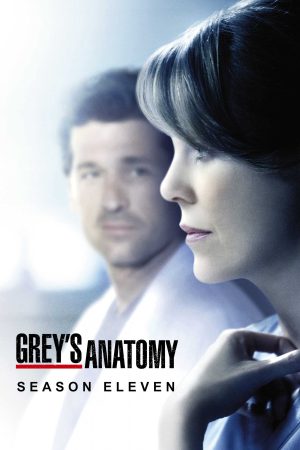 Xem Phim Ca Phẫu Thuật Của Grey ( 11) Vietsub Ssphim - Greys Anatomy (Season 11) 2013 Thuyết Minh trọn bộ Vietsub