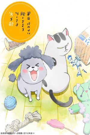 Xem Phim Inu to Neko Docchi mo Katteru to Mainichi Tanoshii Vietsub Ssphim - With a Dog AND a Cat Every Day is Fun 2020 Thuyết Minh trọn bộ Vietsub