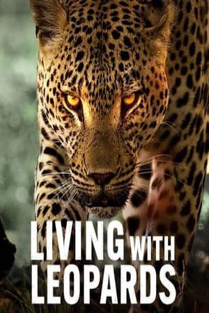 Xem Phim Sống Cùng Báo Hoa Vietsub Ssphim - Living with Leopards 2024 Thuyết Minh trọn bộ Vietsub