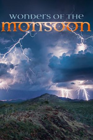 Xem Phim Những Kỳ Quan Của Mùa Mưa Vietsub Ssphim - Wonders of the Monsoon 2014 Thuyết Minh trọn bộ HD Vietsub