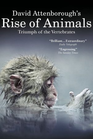 David Attenboroughs Rise of Animals Triumph of the Vertebrates