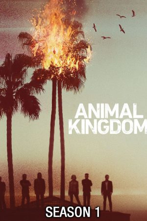 Xem Phim Vương quốc động vật ( 1) Vietsub Ssphim - Animal Kingdom (Season 1) 2016 Thuyết Minh trọn bộ HD Vietsub