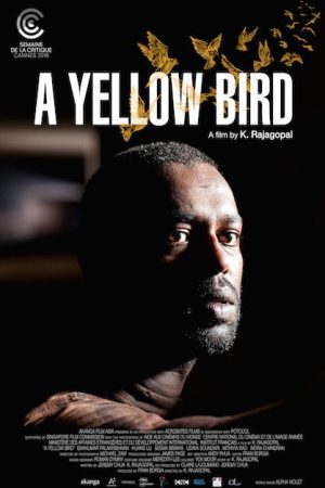 Xem Phim Chim Vàng Vietsub Ssphim - A Yellow Bird 2016 Thuyết Minh trọn bộ Vietsub