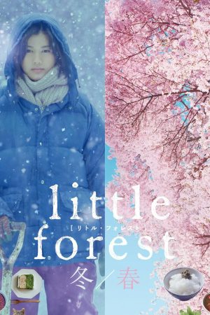 Little Forest WinterSpring