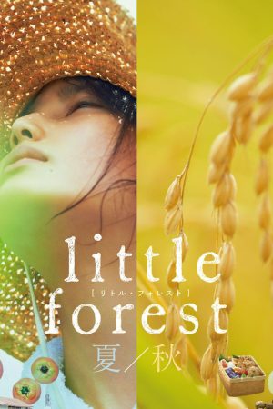 Little Forest SummerAutumn