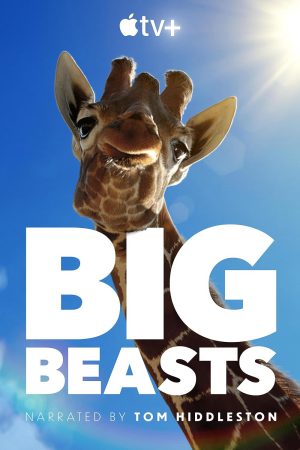 Xem Phim Big Beasts Vietsub Ssphim - Những Sinh Vật Phi Thường 2023 Thuyết Minh trọn bộ HD Vietsub