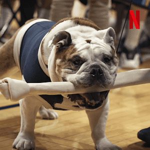 Xem Phim Những chú chó ( 2) Vietsub Ssphim - Dogs (Season 2) 2021 Thuyết Minh trọn bộ HD Vietsub