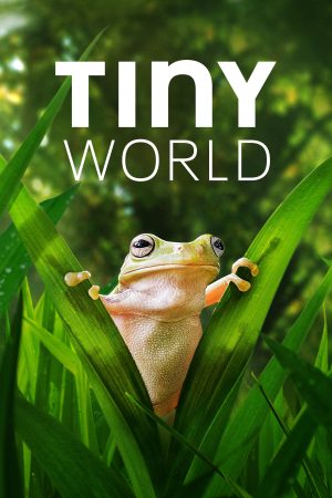 Xem Phim Thế Giới Siêu Nhỏ ( 2) Vietsub Ssphim - Tiny World (Season 2) 2021 Thuyết Minh trọn bộ HD Vietsub
