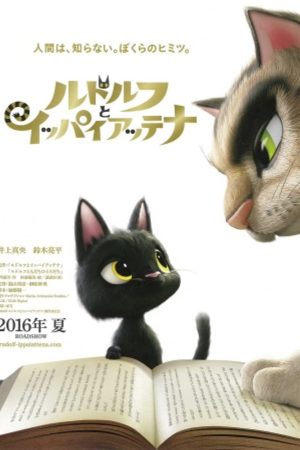 Xem Phim Chú Mèo Đi Lạc Vietsub Ssphim - Rudolf the Black Cat 2016 Thuyết Minh trọn bộ HD Vietsub
