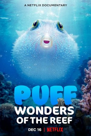 Puff Rạn san hô kỳ diệu