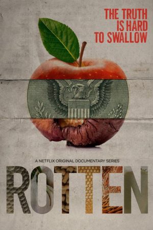 Xem Phim Mục ruỗng ( 1) Vietsub Ssphim - Rotten (Season 1) 2018 Thuyết Minh trọn bộ HD Vietsub