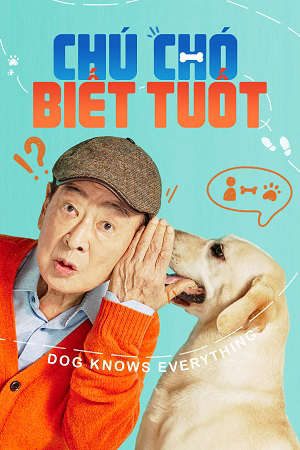 Xem Phim Chú Chó Biết Tuốt Vietsub Ssphim - Dog Knows Everything 2024 Thuyết Minh trọn bộ HD - Vietsub + Thuyết Minh